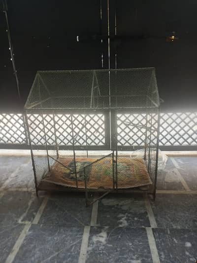 Big sized animal cage (30×30)