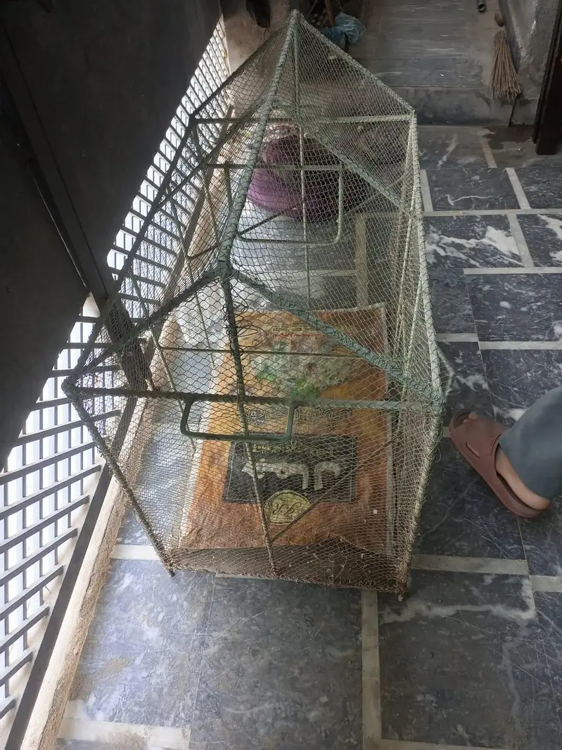 Big sized animal cage (30×30) — photo 3