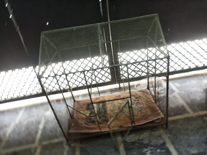 Big sized animal cage (30×30) — photo 4