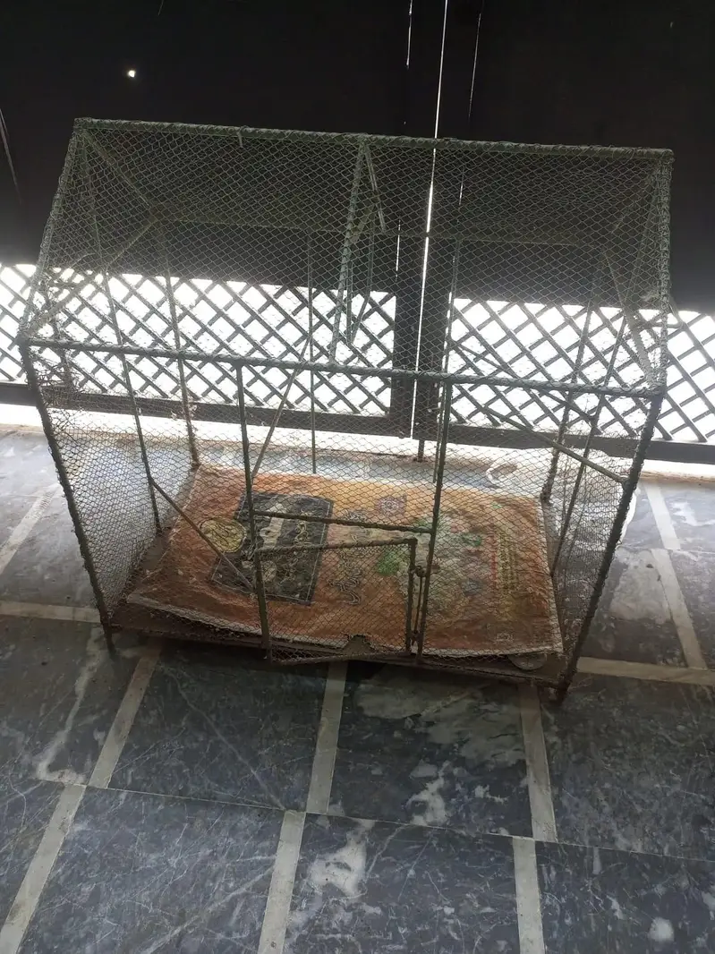 Big sized animal cage (30×30) — photo 5