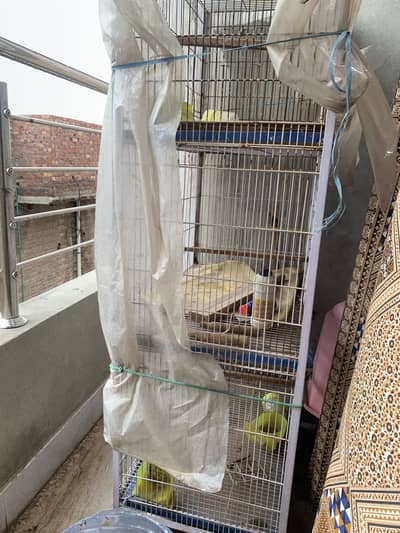 Bird cage