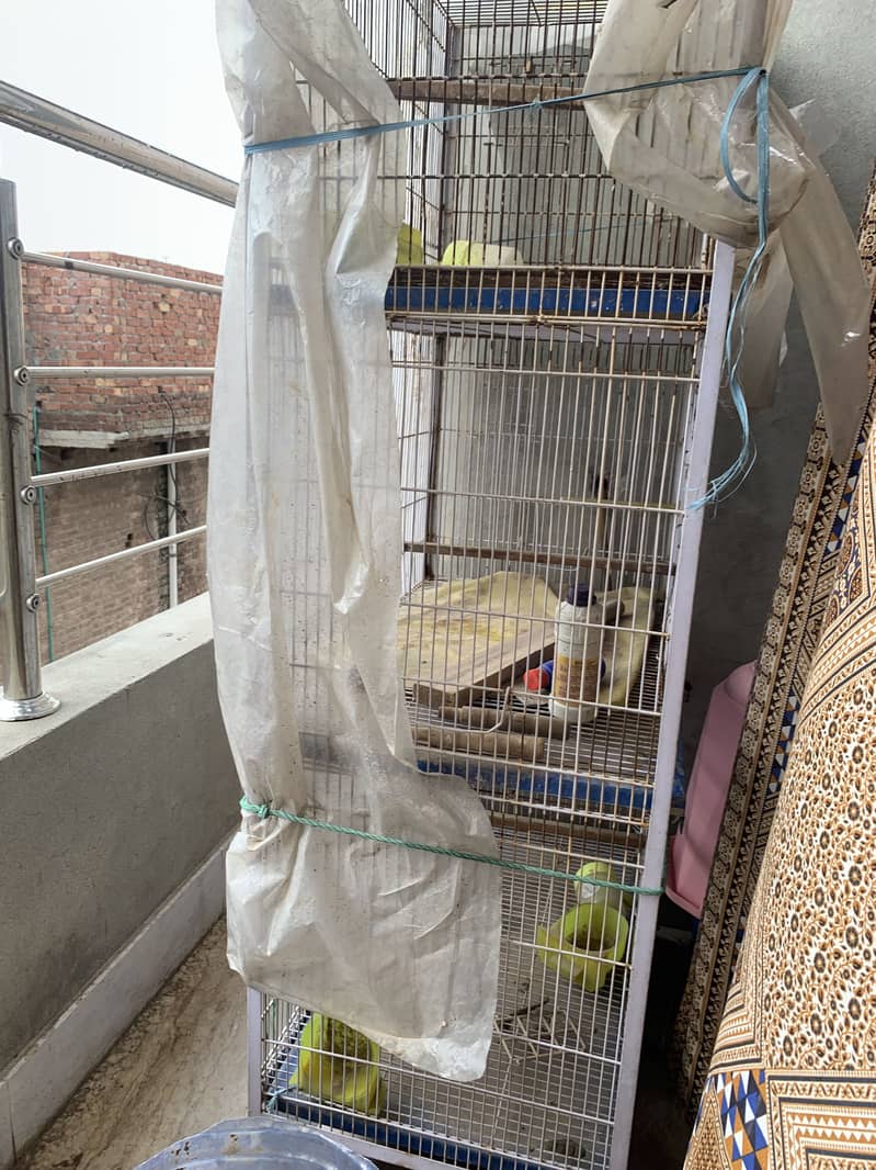 Bird cage 0