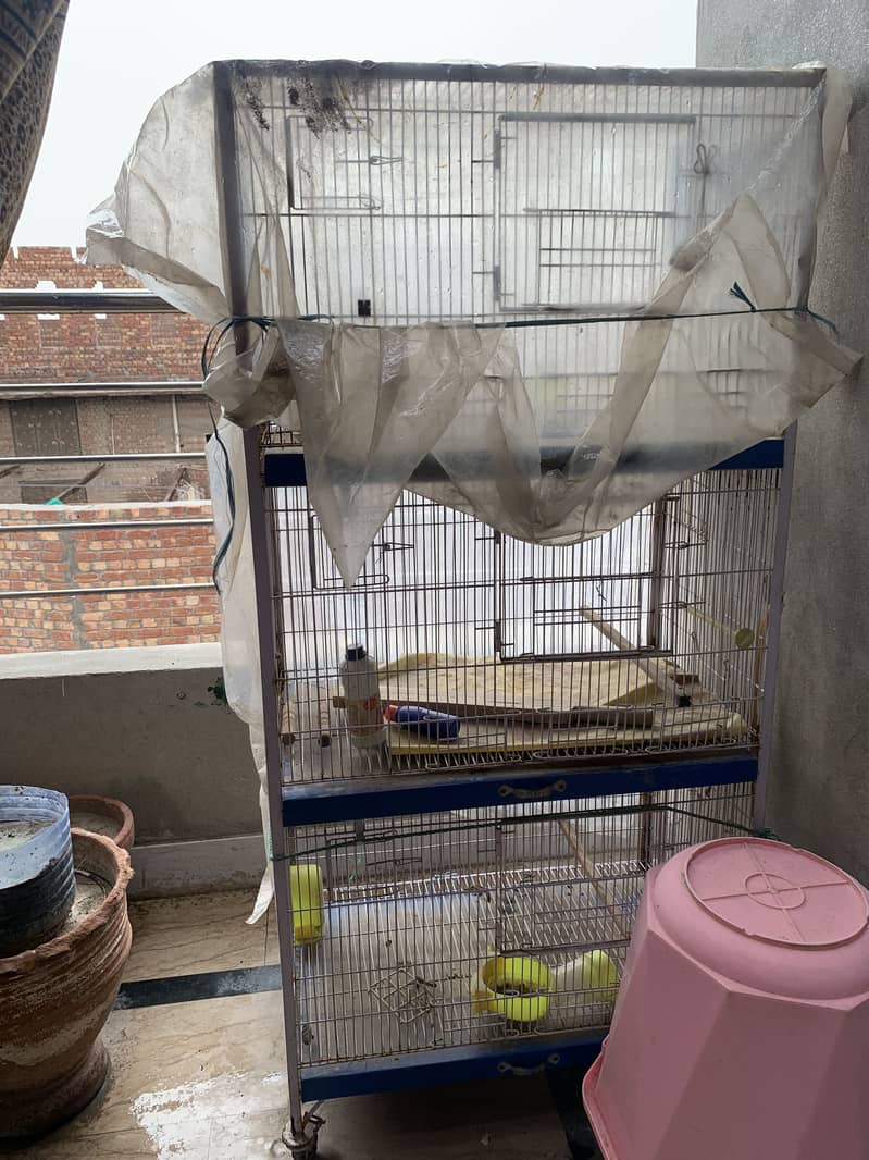 Bird cage 1