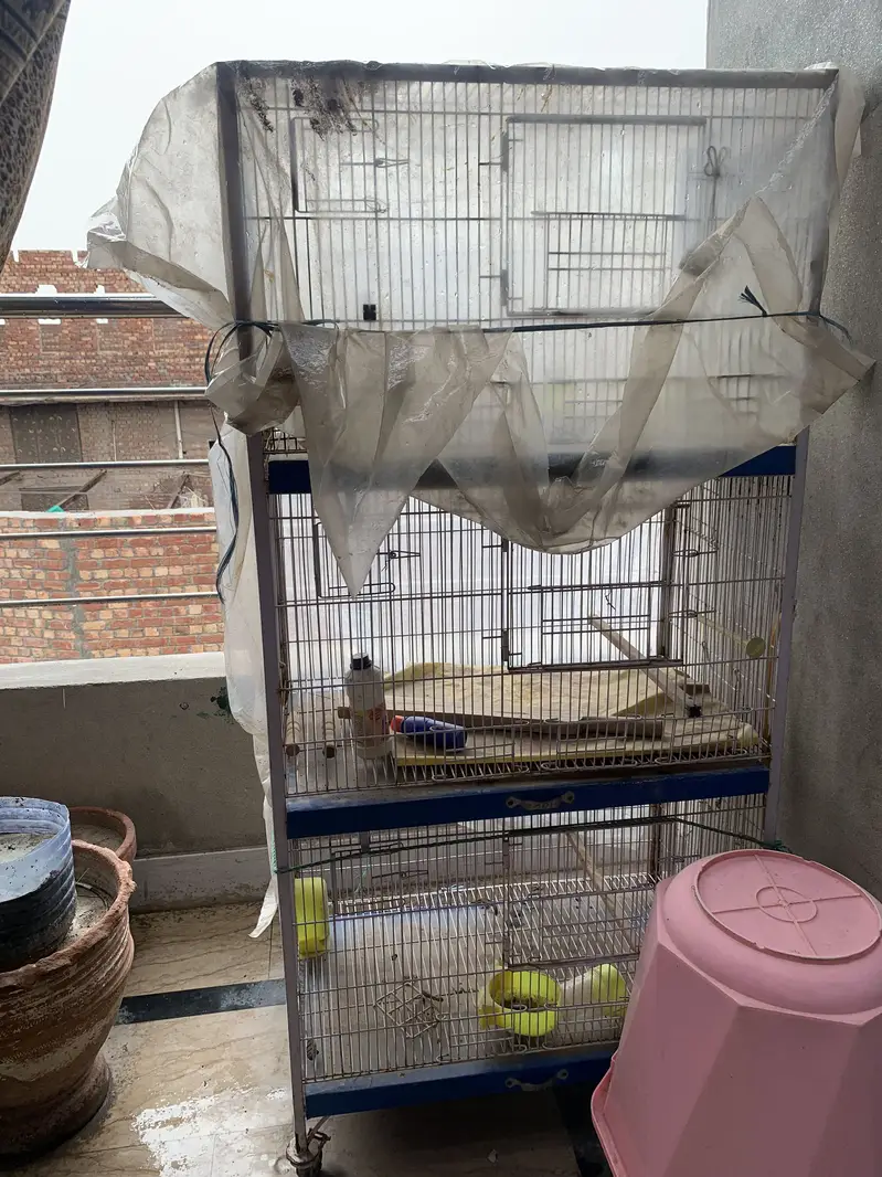 Bird cage — photo 2
