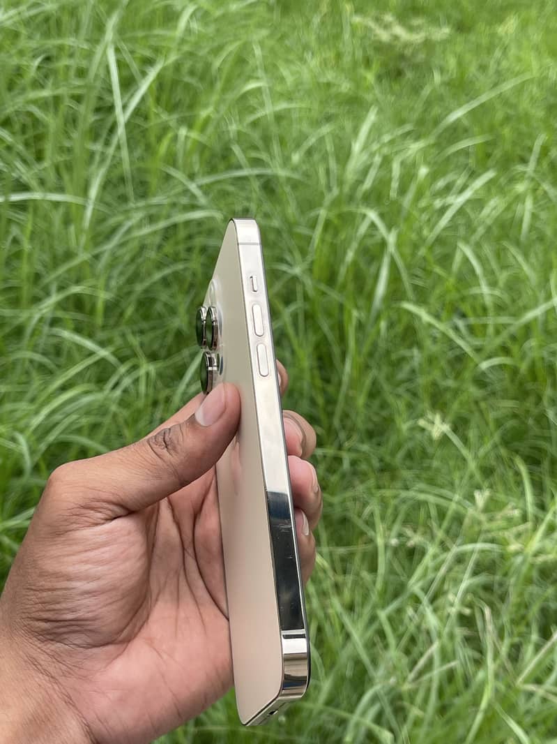 iphone 14 Pro Max 2