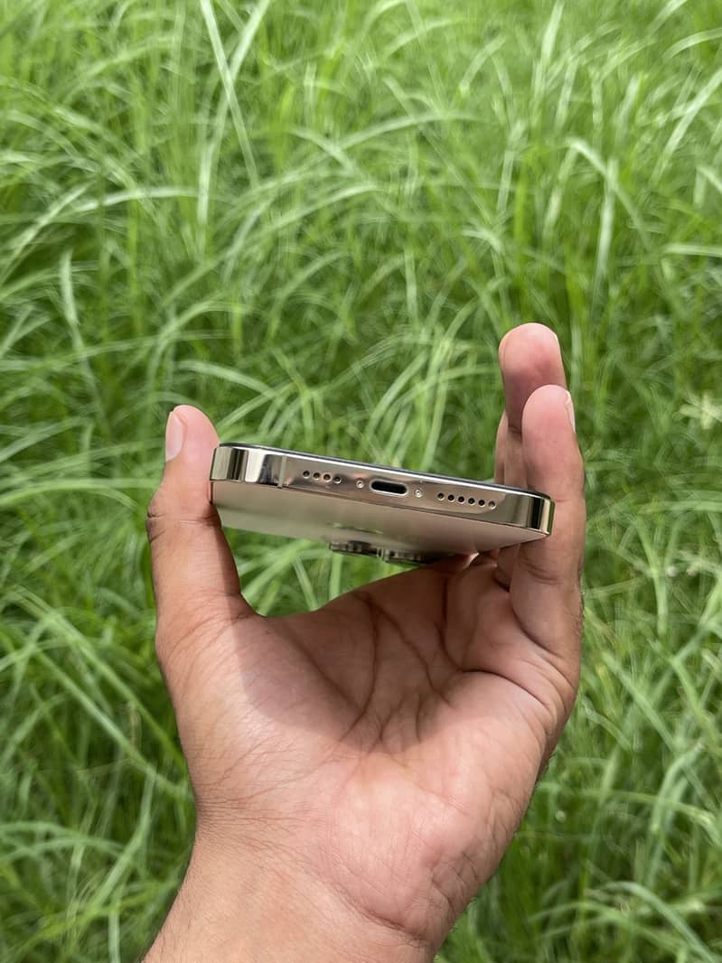iphone 14 Pro Max 3
