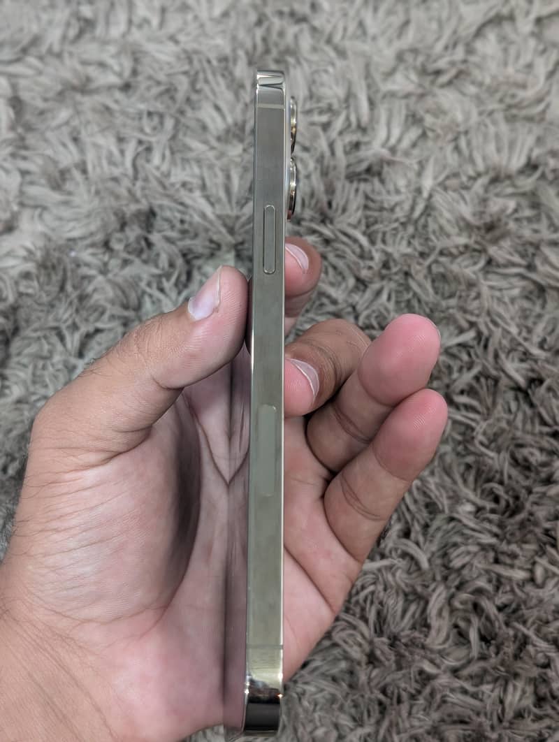 iphone 13 pro max 1