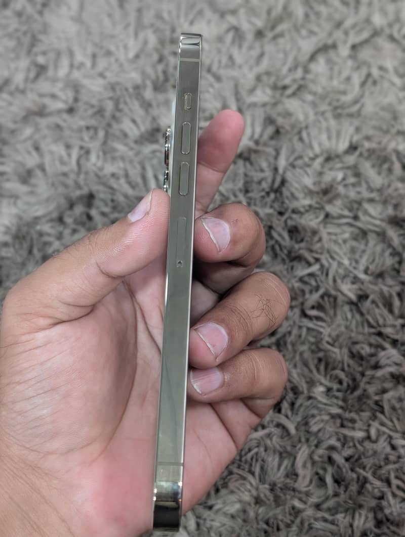 iphone 13 pro max 2