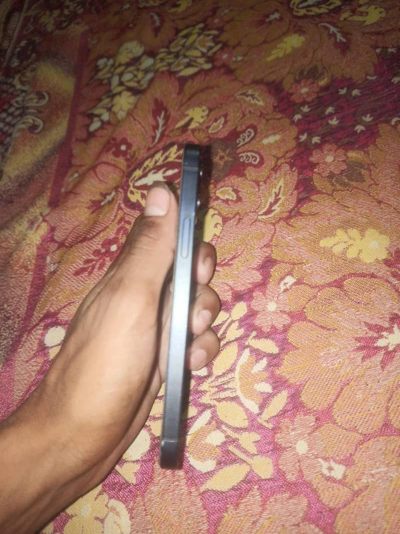 Apple iPhone 12 1