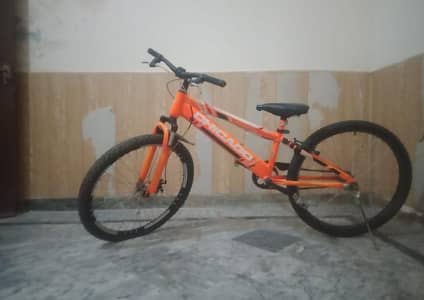 best cycle