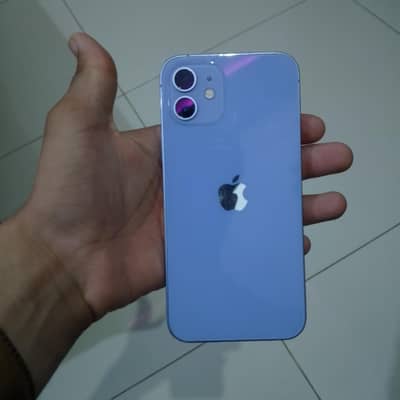 Apple iPhone 12