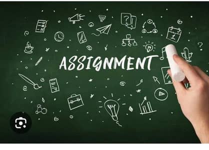 assignment writer