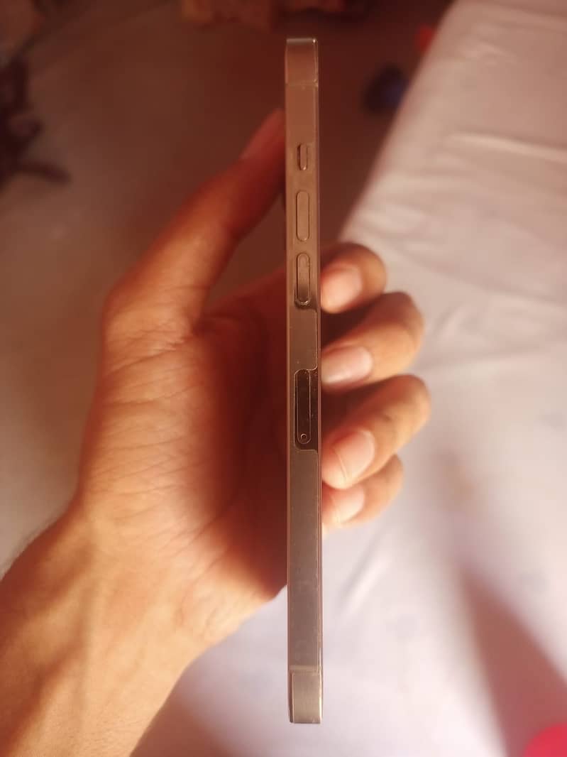 iPhone 12 Pro Max 2