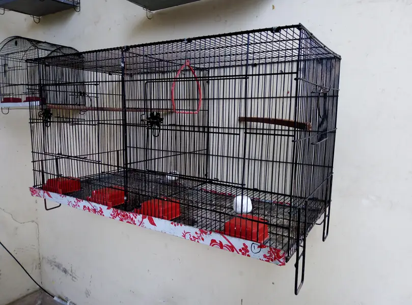 Double Portion Folding Cage for sale 03129196869 — photo 2