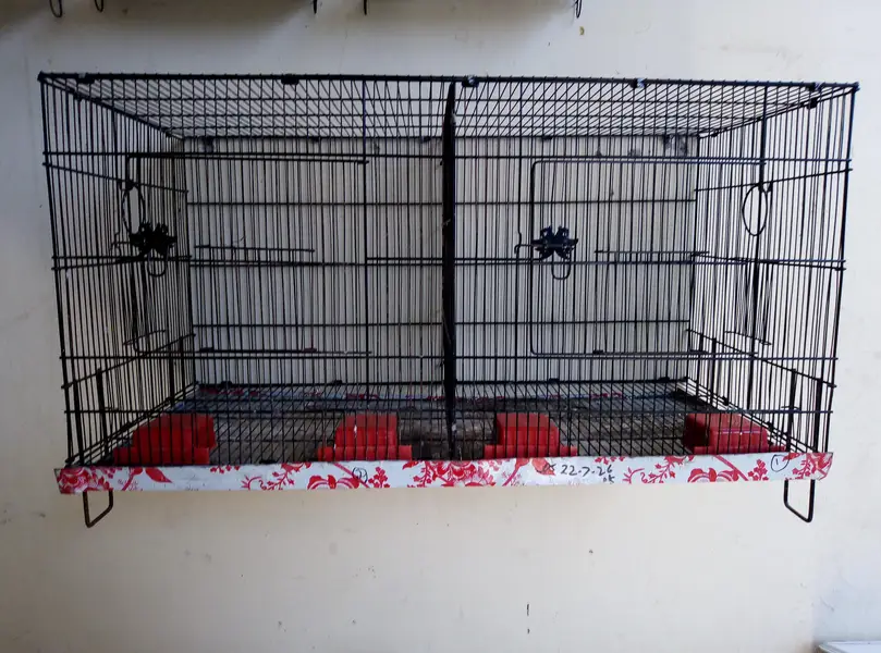Double Portion Folding Cage for sale 03129196869 — photo 3