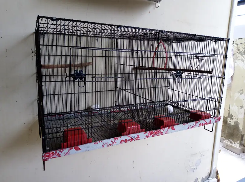 Double Portion Folding Cage for sale 03129196869 — photo 4