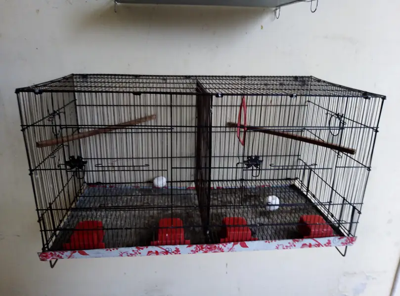 Double Portion Folding Cage for sale 03129196869 — photo 5