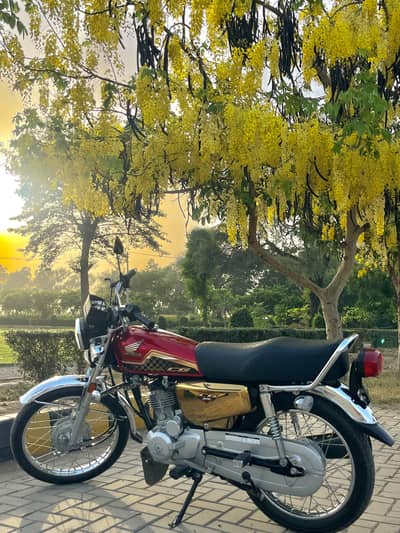 New Condition 125