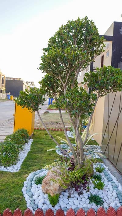 Phase 7 10 Marla Brand New Designer House For Sale Proper Double Unit Invester Prices