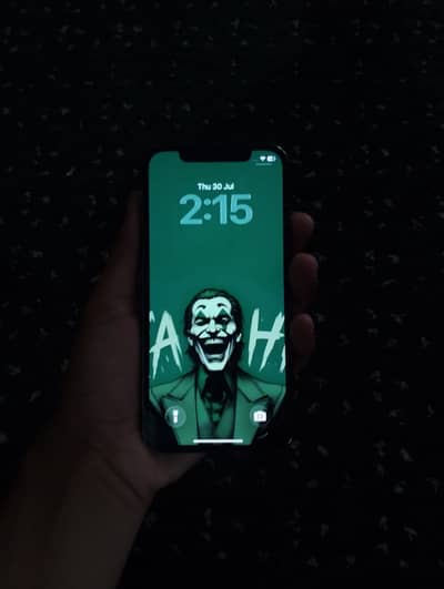 Apple iPhone 12 Pro