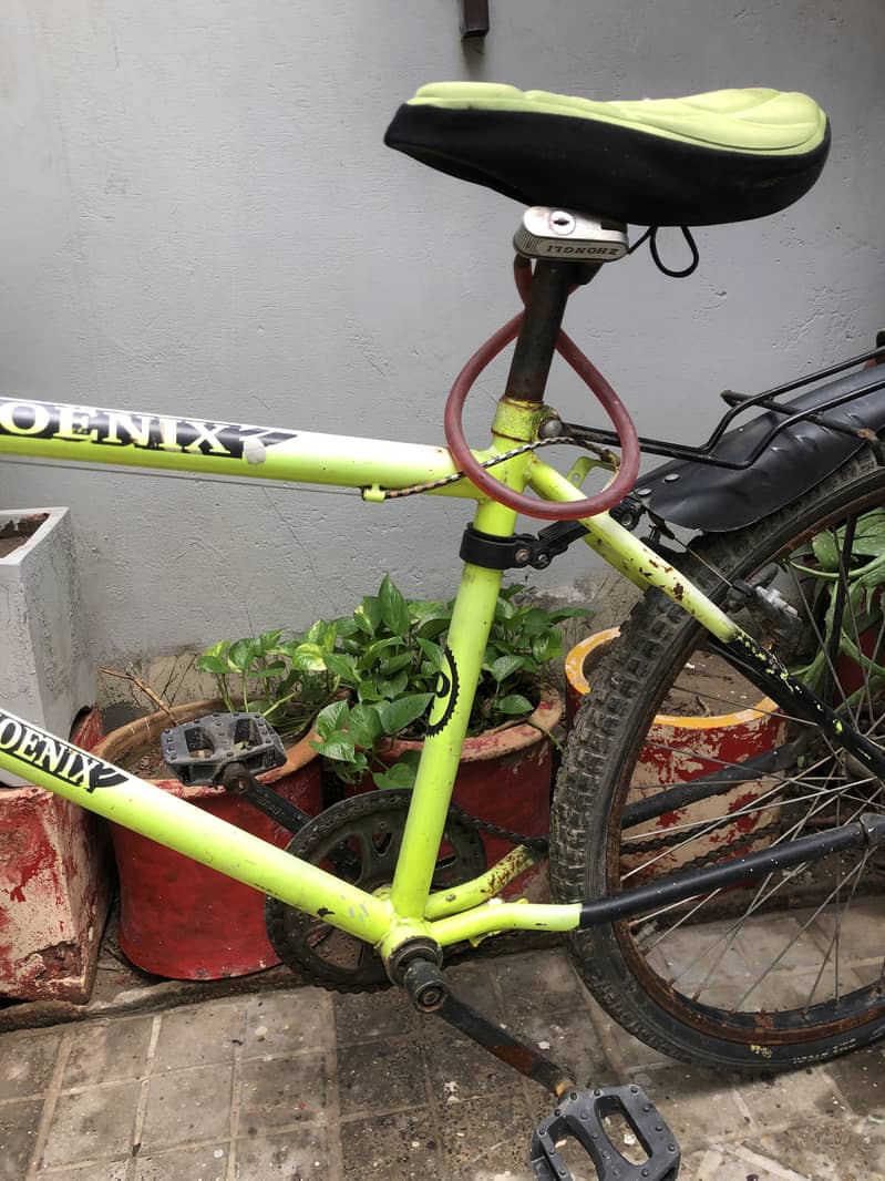 Cycle 4