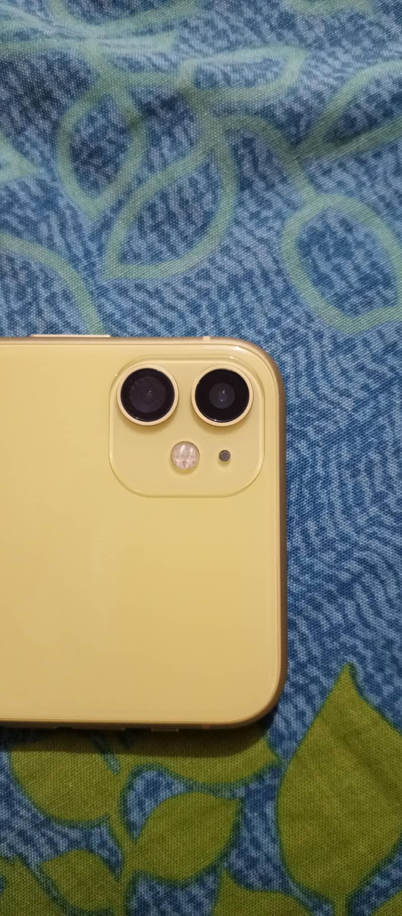Apple iPhone 11 1