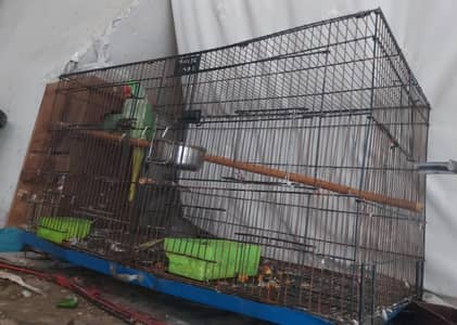 birds Cage For Sale