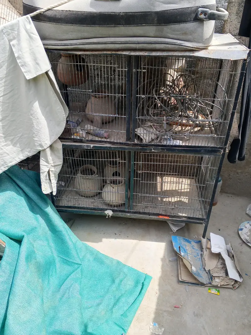 urgent sale — photo 2
