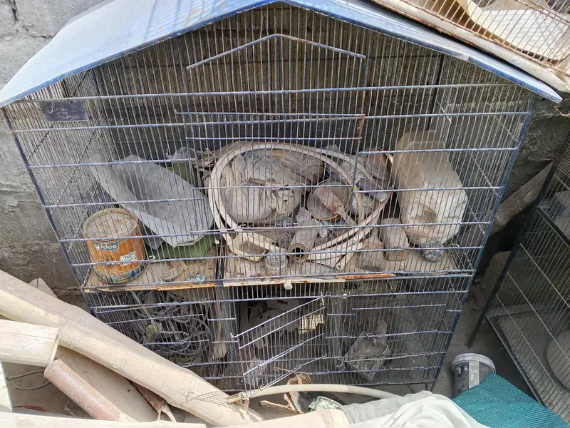 urgent sale — photo 3