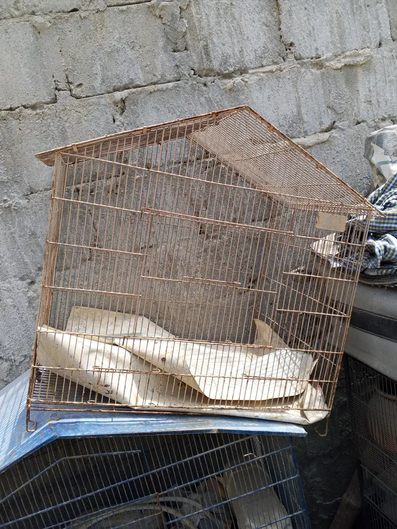 urgent sale — photo 4