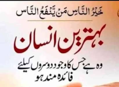 mughal bhai