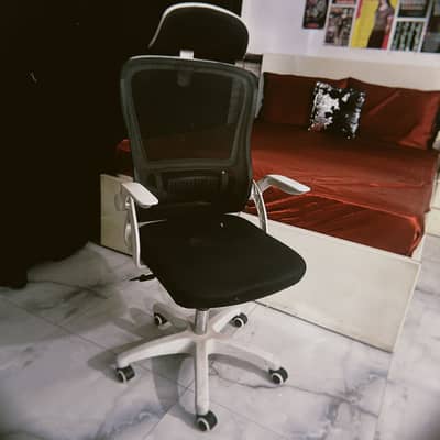 Ergonomic Mesh Office Chair