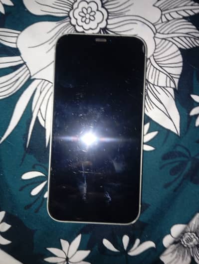 Apple iPhone 12
