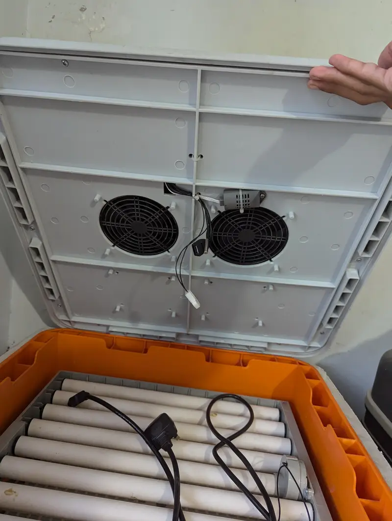 incubator for sale — photo 2