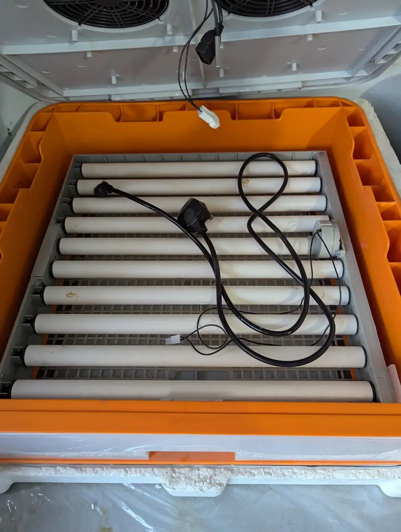 incubator for sale — photo 3