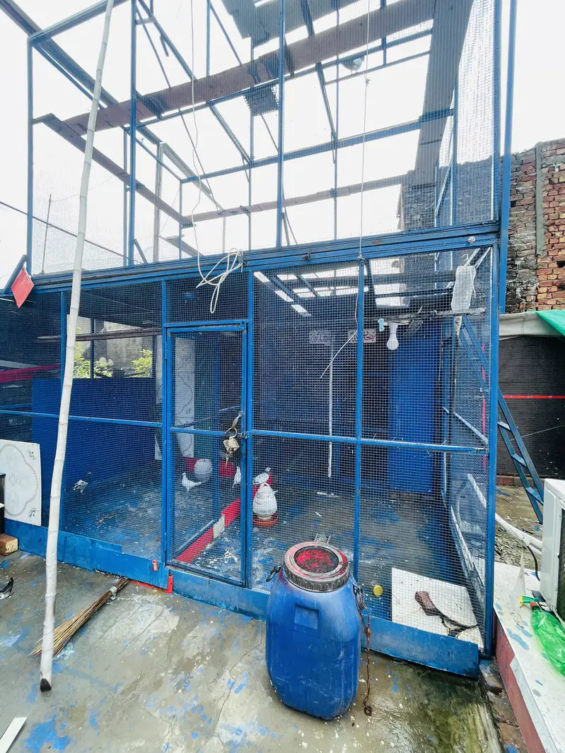 PIGEON CAGE IMPORTED QUALITY — photo 2