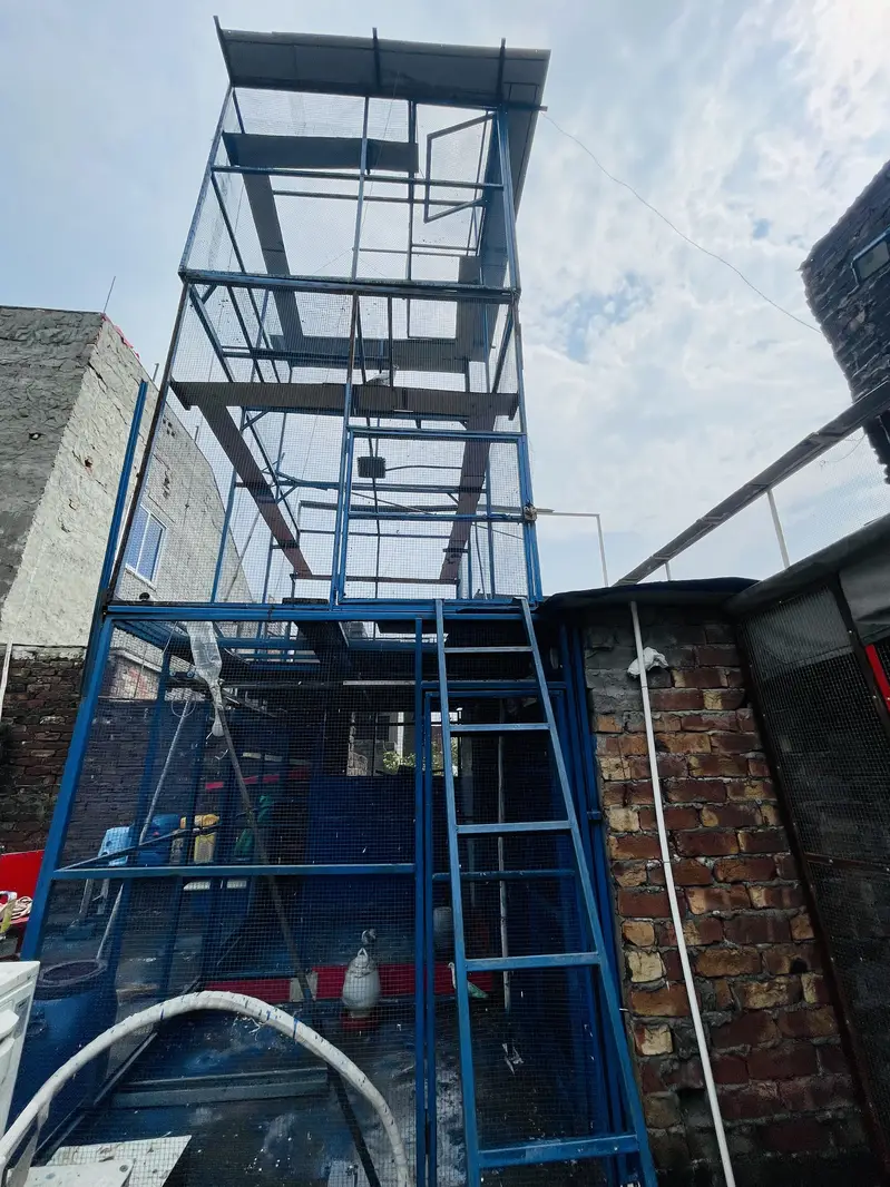PIGEON CAGE IMPORTED QUALITY — photo 12