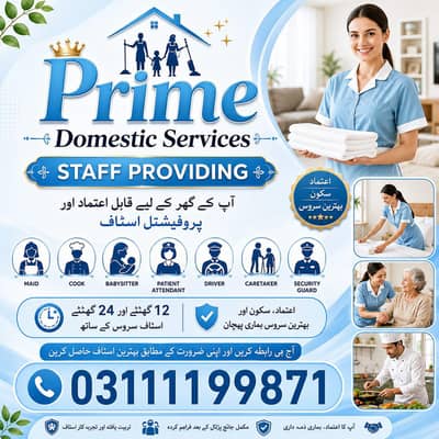 maid Cook babysitter Drivers patient Attdant etc