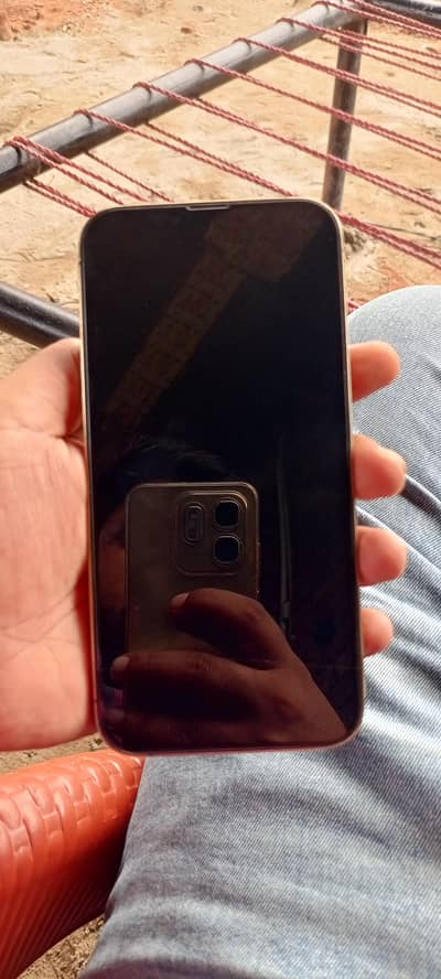 Apple iPhone 13 Pro Max