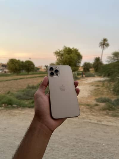 Apple iPhone 12 Pro Max jv