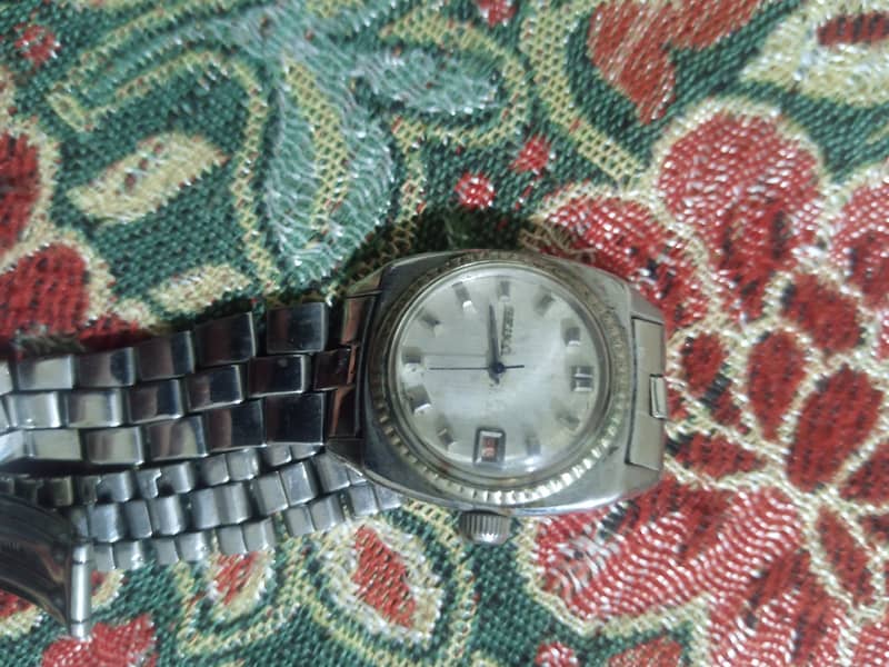citizen 7