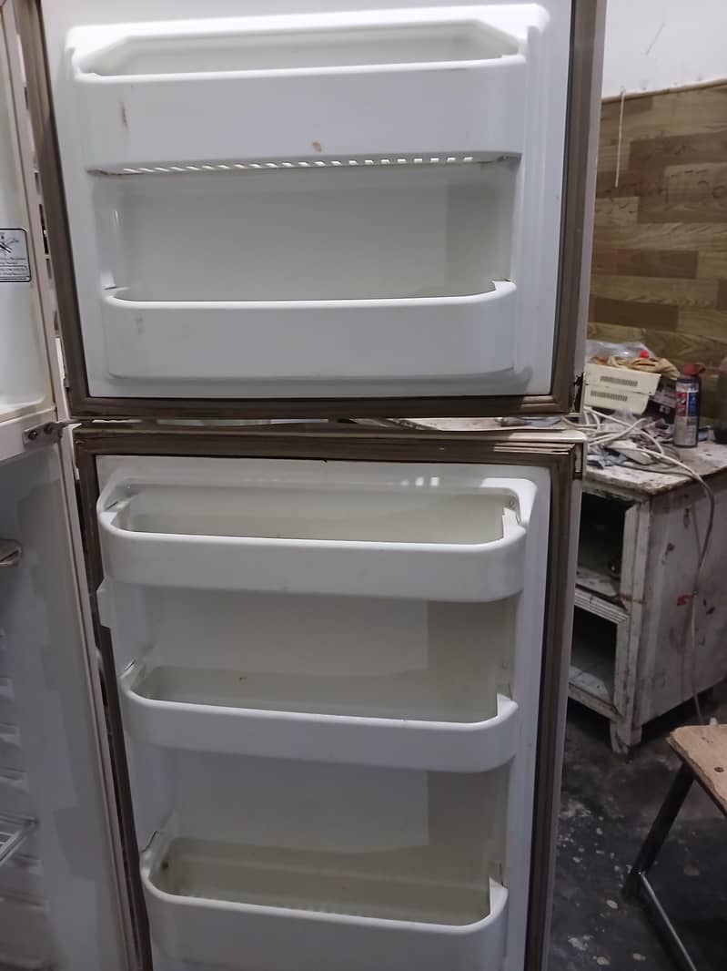 frige 1