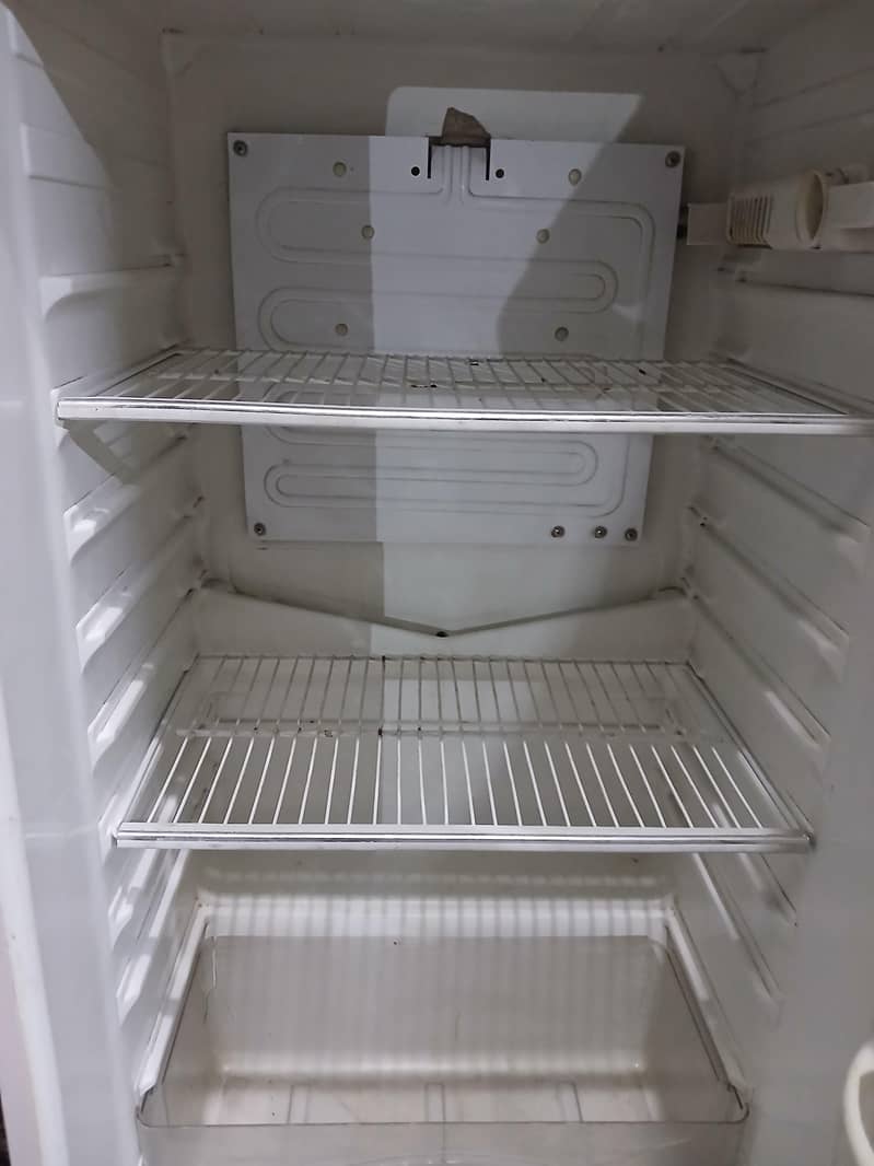 frige 2