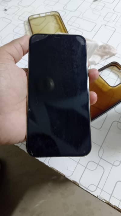 Apple iPhone 12 Pro Max