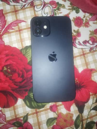 Apple iPhone 12 mini