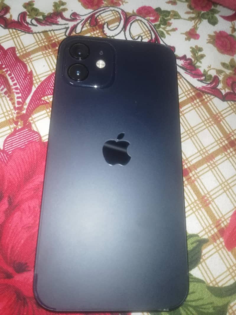 Apple iPhone 12 mini 1
