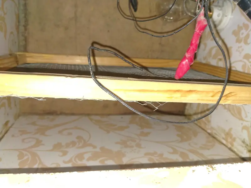 incubator — photo 3