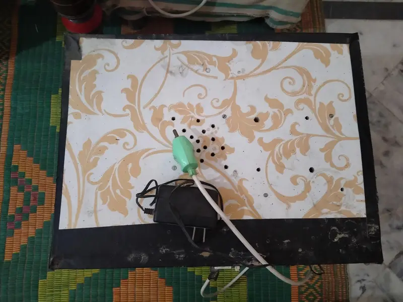incubator — photo 5
