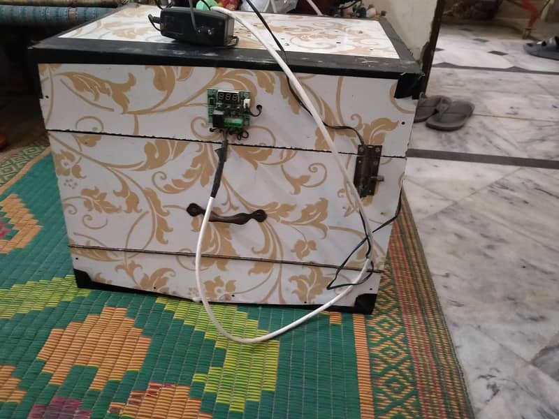 incubator 5