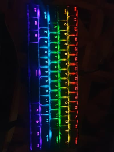 sunnysee k61 mechanical keyboard blue switchs
